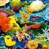 coral reef art