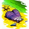 shell with heart